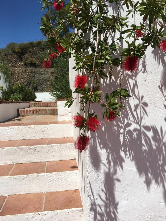B&B And Apartments Cortijo La Zapatera Canillas de Aceituno Eksteriør billede